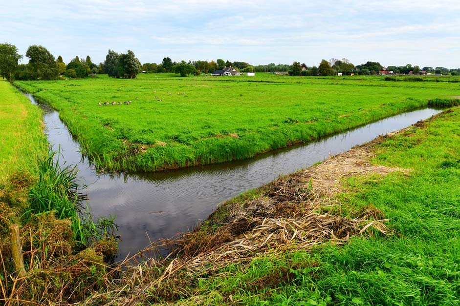 Dutch-Landscape Meadow Water Ditch