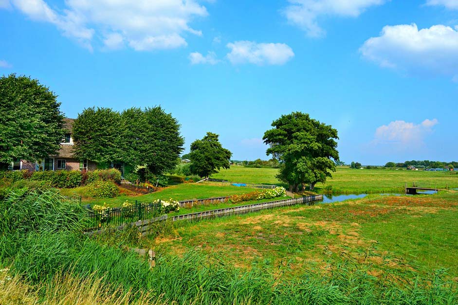 Polder Meadows Farmhouse Dutch-Landscape