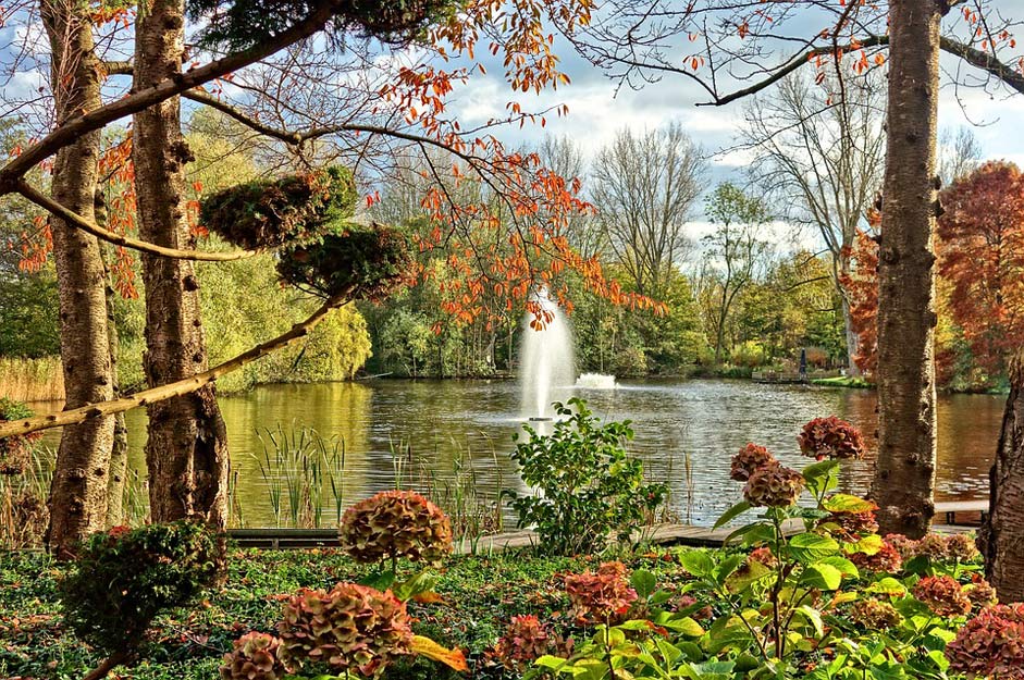 Garden Park Pond Fountain