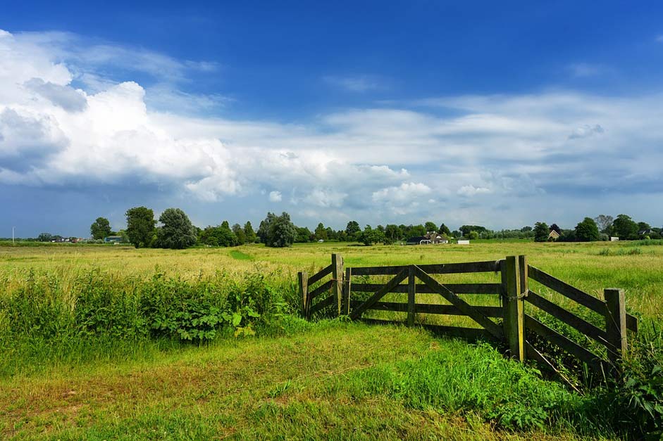 Dutch-Landscape Meadow Field Gate