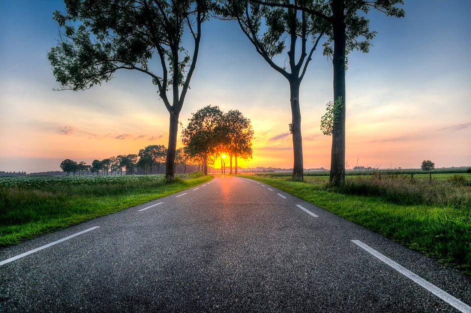 Asphalt Trees Road Sunset