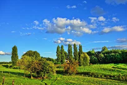 Landscape Trees Fields Countryside Picture
