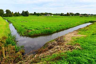 Ditch Dutch-Landscape Meadow Water Picture