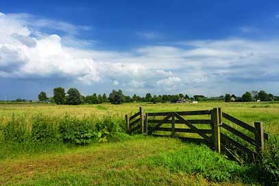 Gate Dutch-Landscape Meadow Field Picture