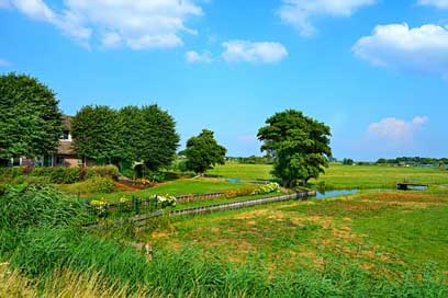 Dutch-Landscape Polder Meadows Farmhouse Picture
