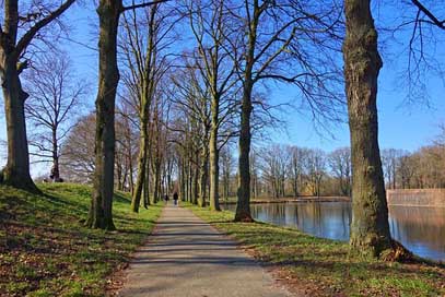 Lane Water Moat Tree Picture