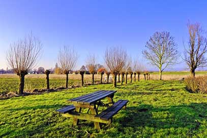 Picnic-Table Willow Resting-Place Bench Picture