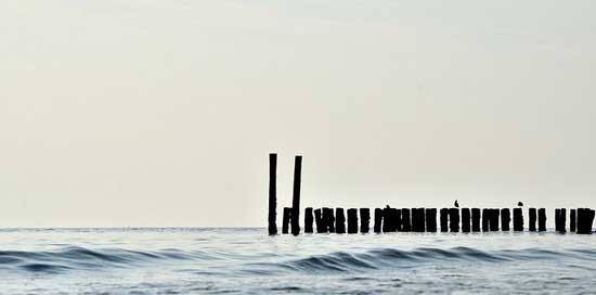 Sea Ocean Netherlands Poles Picture