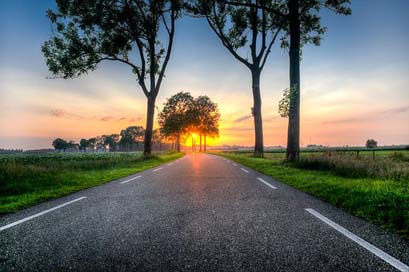 Sunset Asphalt Trees Road Picture