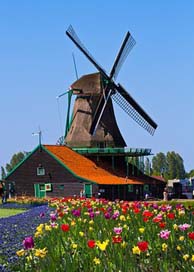 Windmill Europe Garden Netherlands Picture