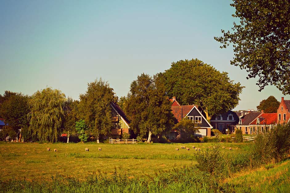 Trees Meadow Houses Village