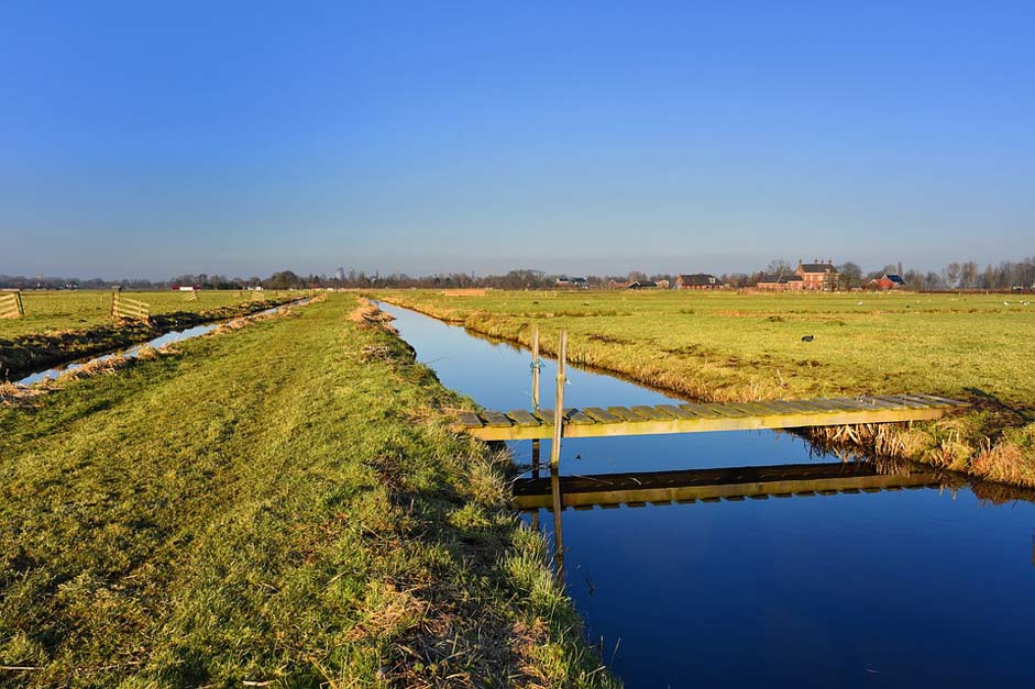 Polder Footbridge Meadow Waterway