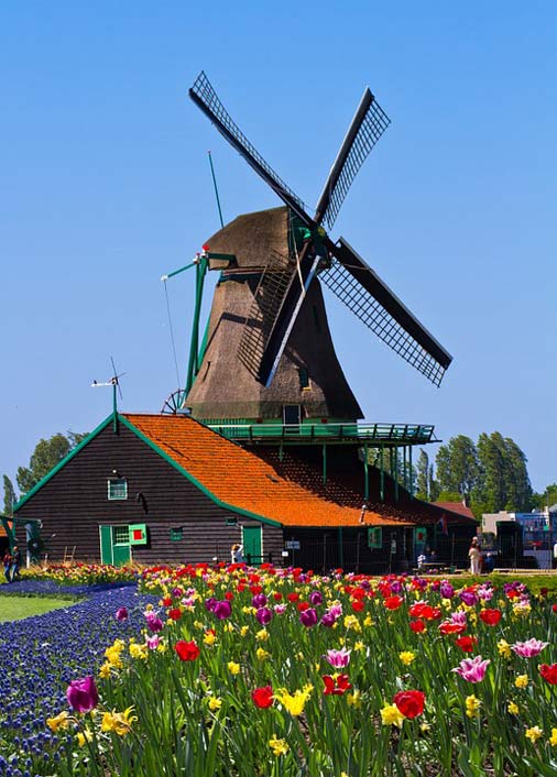 Europe Garden Netherlands Windmill