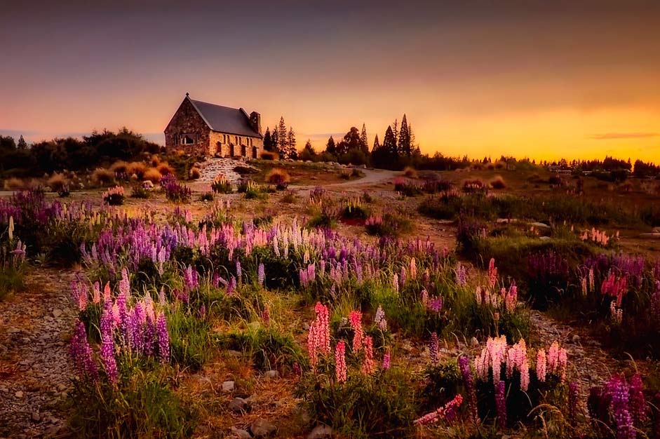 Cottage Home House New-Zealand