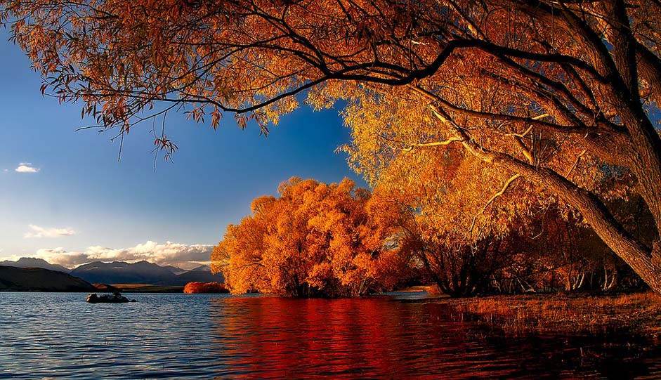 Landscape Reflections Lake-Tekapo New-Zealand