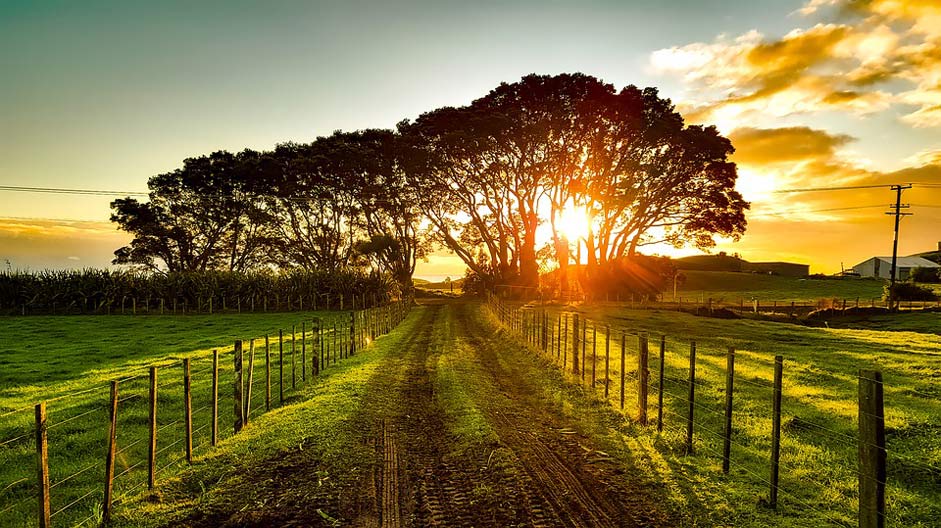 Nature Scenic Landscape New-Zealand