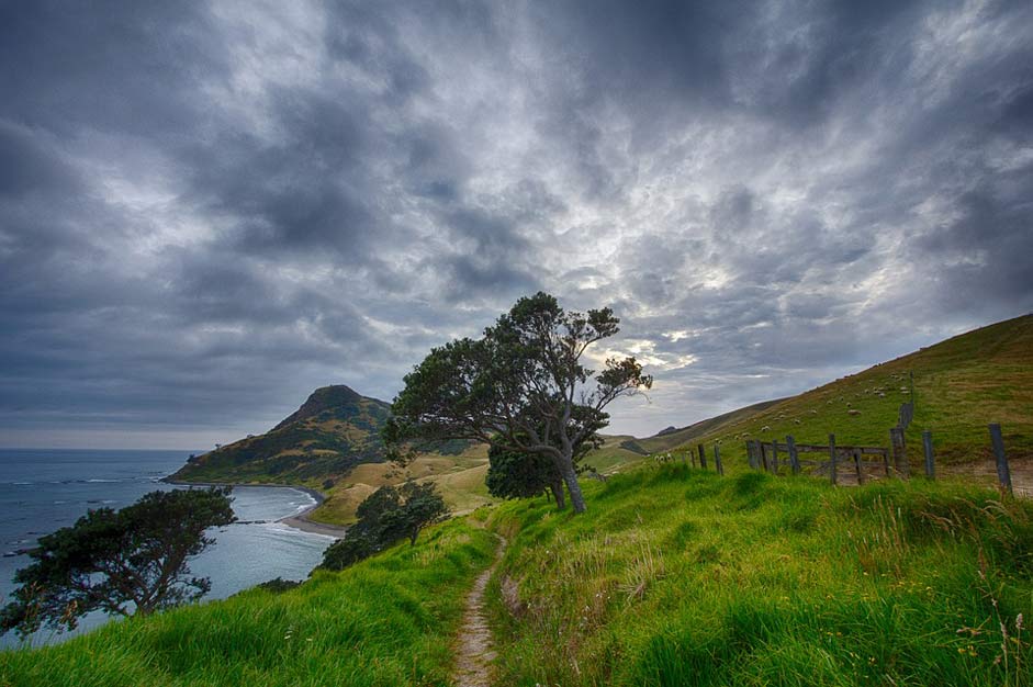 Corum-Andel Trail Path New-Zealand