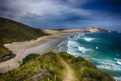 New-Zealand Bay Sea Beach Picture