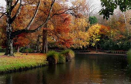 Landscape Tranquil Calm Scenic Picture