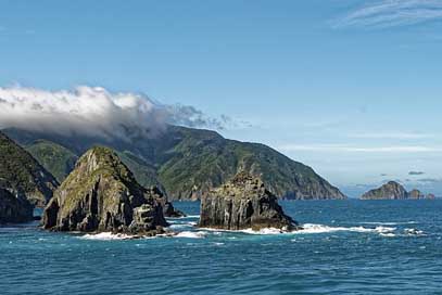 New-Zealand Landscape Arapawa-Island Cook-Street Picture