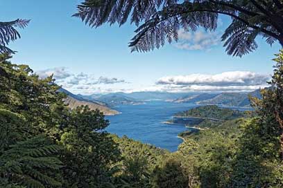 New-Zealand South-Island Bay Fitzroy-Bay Picture