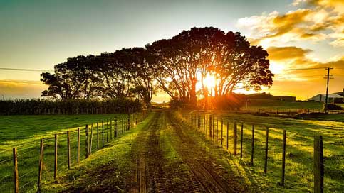 New-Zealand Nature Scenic Landscape Picture