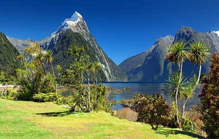 New-Zealand Fjord Mitre-Peak Milford-Sound Picture