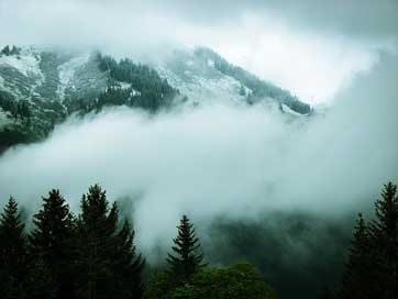 Alpine New-Zealand Snow Fog Picture