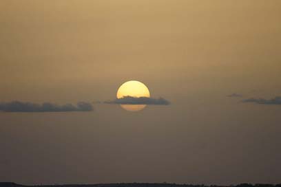 Sunset Birds Clouds Sun Picture