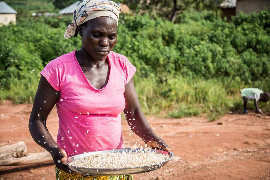 Nigeria Abuja Farmer Gbagyi-Woman