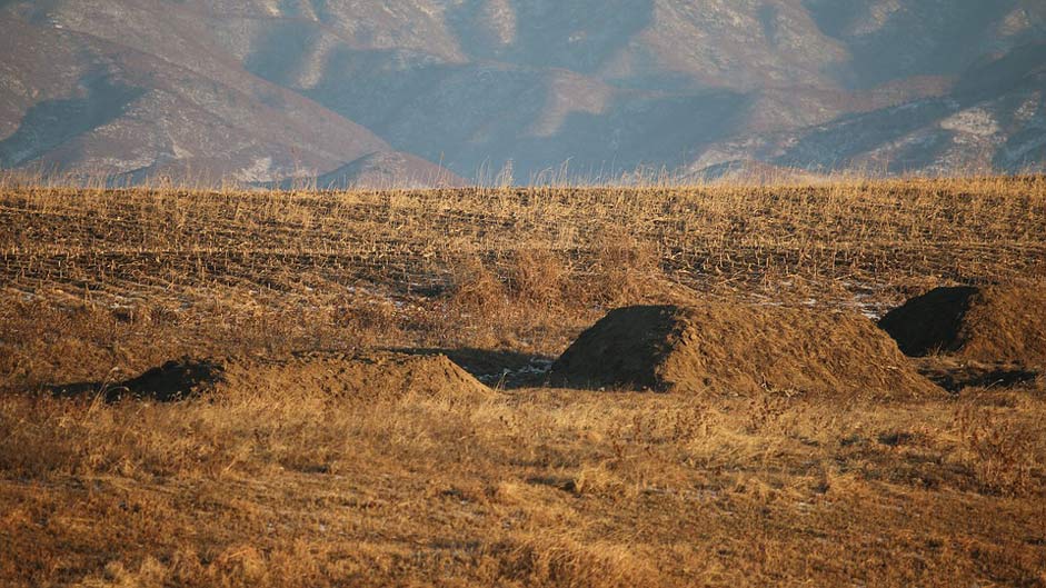 Field-Stack Hungry Poverty North-Korea