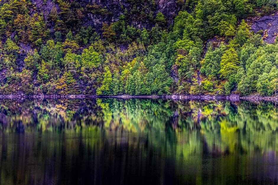 Reflection Lake Forest Norway