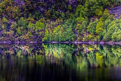 Norway Reflection Lake Forest Picture