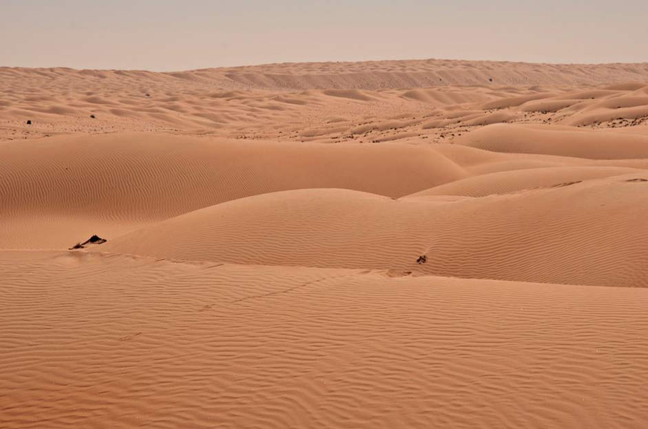Arid Wasteland Sand Desert