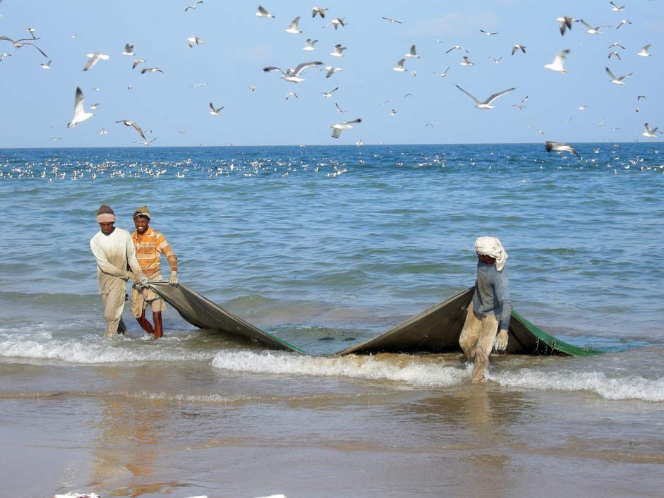 Net Sea Fishing Fishermen