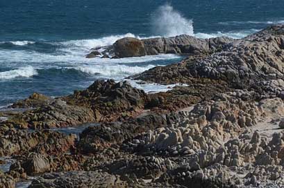 Oman Rock Sea Travel Picture