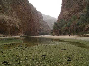 Wadi Exotic Nature Oman Picture