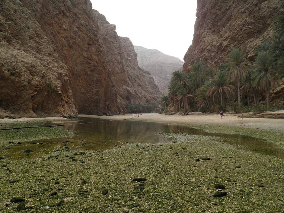 Exotic Nature Oman Wadi