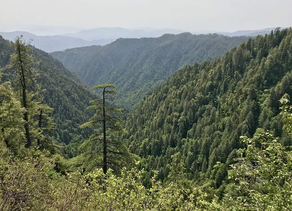 Panoramic Mountain Wood Nature