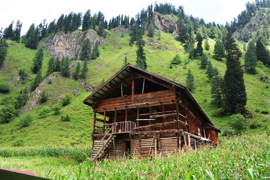 Pakistan Kashmir Green Sweet-Wooden-Home