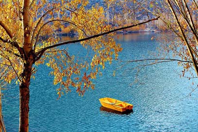 Tree Nature Pakistan Lake Picture