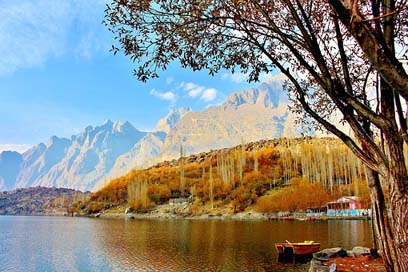 Tree Nature Pakistan Lake Picture