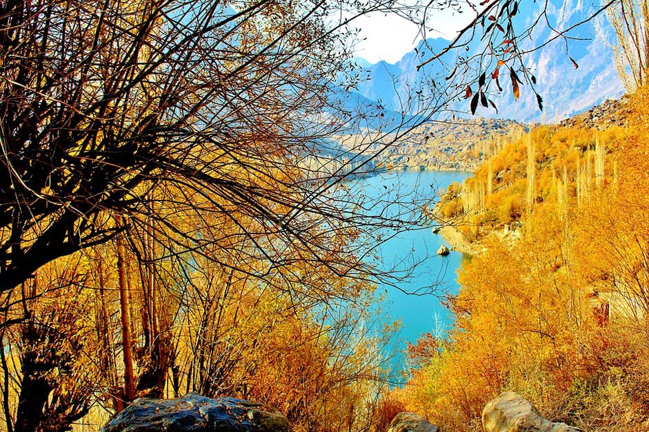 Nature Pakistan Lake Tree