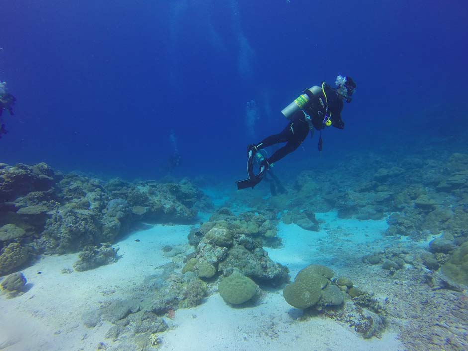 Palau Scuba Diver Dive