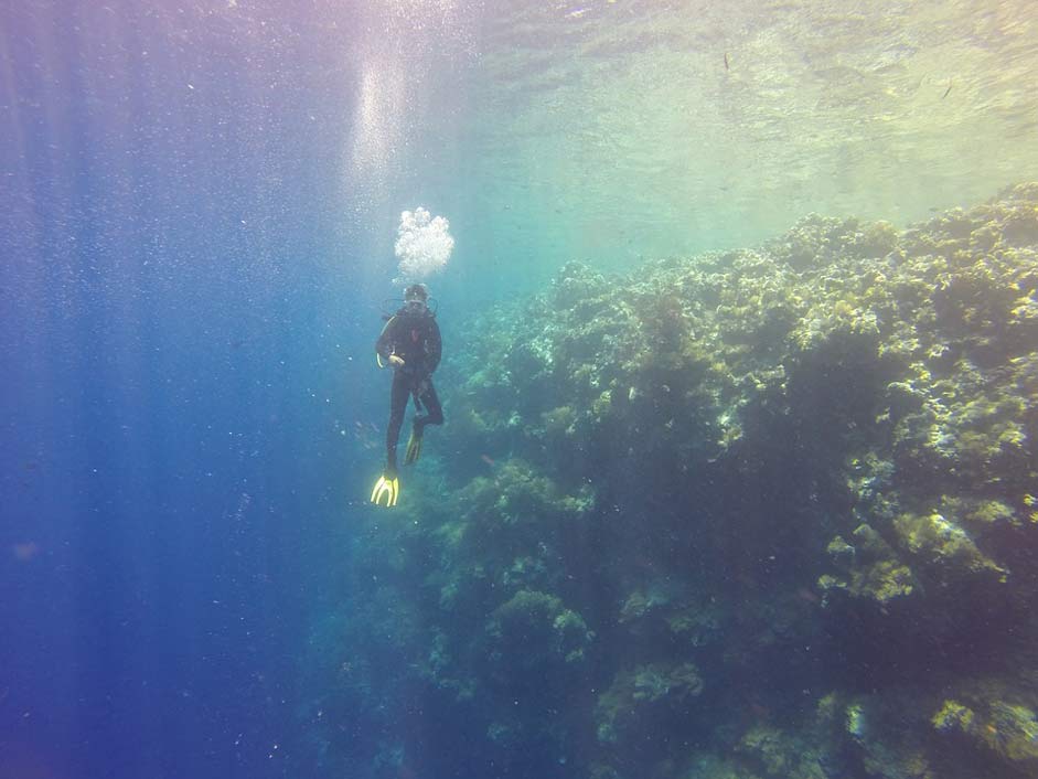 Ocean Drop-Off Palau Diver