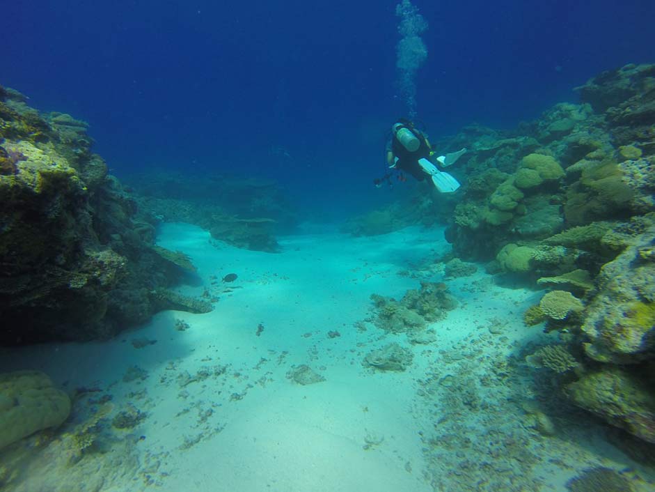 Ulong-Channel Palau Reef Scuba