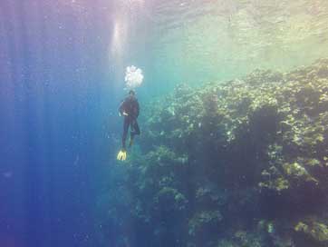 Diver Ocean Drop-Off Palau Picture