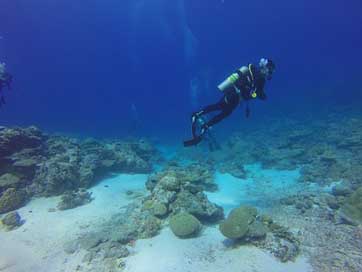 Dive Palau Scuba Diver Picture