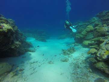 Scuba Ulong-Channel Palau Reef Picture