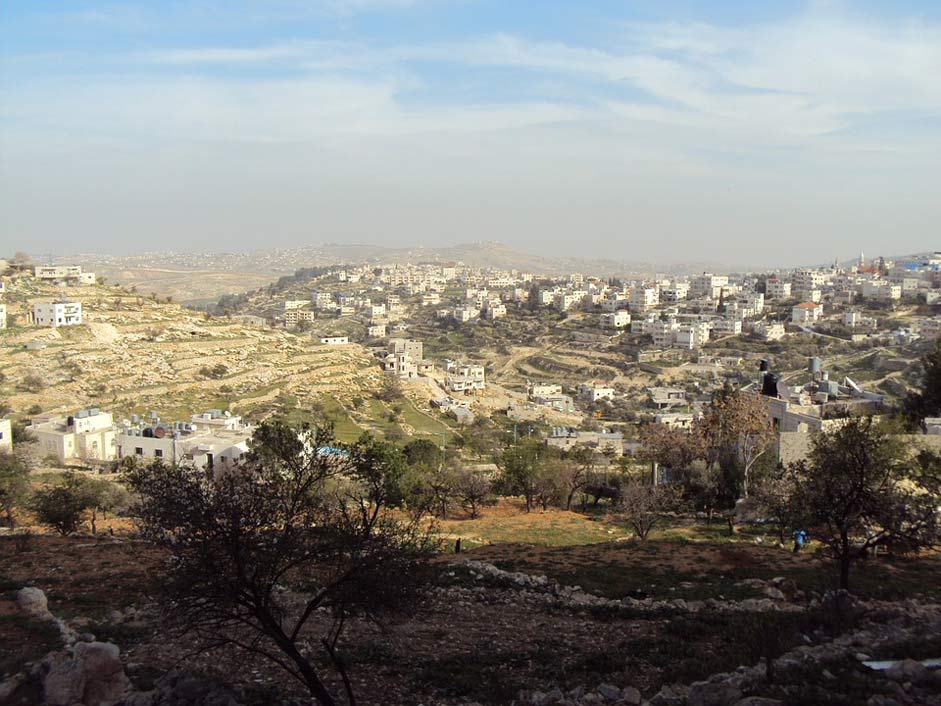 Houses City View Palestine